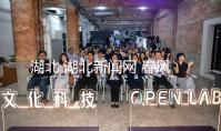 湖北 湖北新闻网 春风汽车新动力汽车年销量达成100万辆